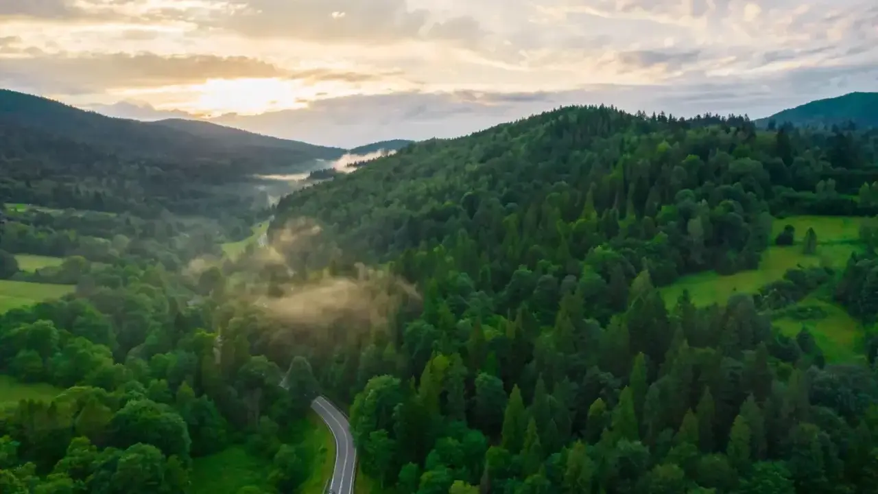 Mglista dolina w Bieszczadach, gdzie kręta droga wije się wśród gęstych lasów. Słońce przebija się przez chmury, tworząc magiczną atmosferę.