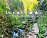Malownicza Dolina Prosiecka w Górach Choczańskich, ze strumieniem, drewnianym mostkiem i ścieżką wśród zieleni.