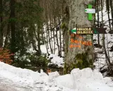 Znak szlaku wskazuje drogę na Rudawiec. Śnieg i las tworzą zimowy krajobraz.