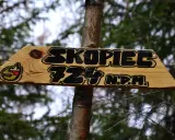 Drewniana tabliczka na drzewie informuje o szczycie Skopiec 724 m n.p.m.