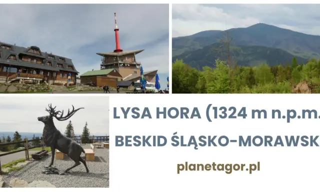 Łysa Hora, Beskid Śląsko-Morawski: budynek, wieża, krajobraz górski i rzeźba jelenia.