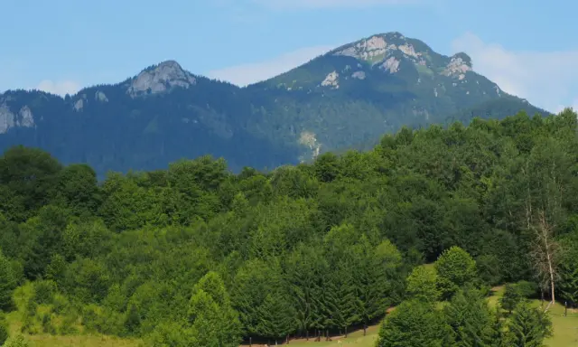 Wielki Chocz góruje nad zielonym lasem.