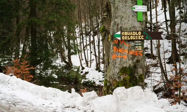 Znak szlaku wskazuje drogę na Rudawiec. Śnieg i las tworzą zimowy krajobraz.
