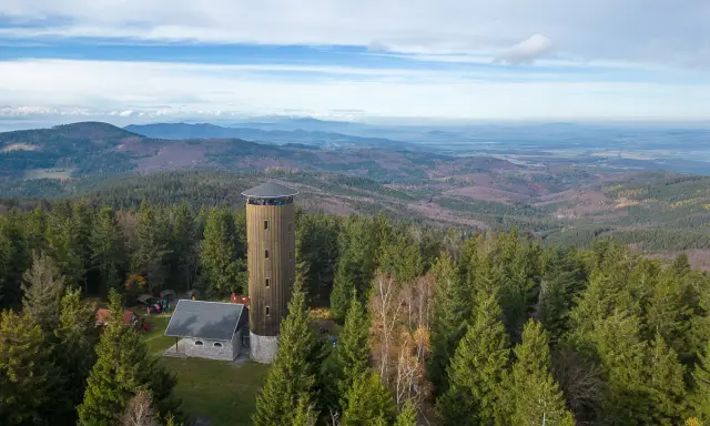 Wieża widokowa na borówkowej górze pośród gęstego lasu. Rozległa panorama krajobrazu.