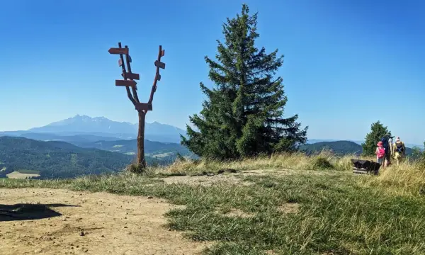 Wysoki wierch z drogowskazem i widokiem na góry. Rodzina z plecakami podziwia panoramę.